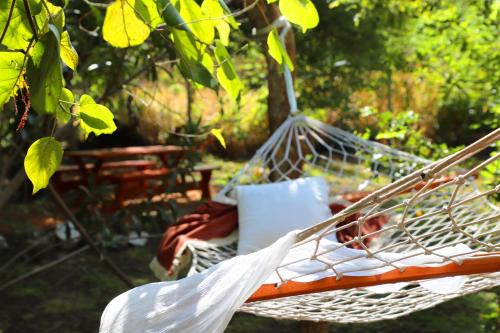 Sigiriya House | Relaxing Retreat at The Cattleya Guest House Sigiriya