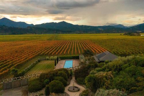 Renwick House | Pet-Friendly Retreat: The Cellar Door - Blenheim Home