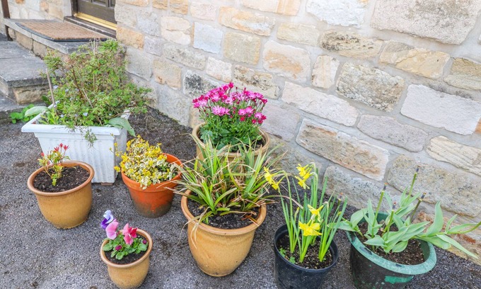High Peak Cottage | Guest Rated 10/10: The Cottage at Moseley House Farm