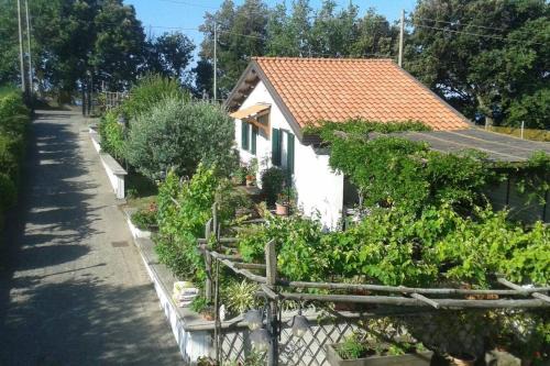 Agerola House | Pet-Friendly The Cottage: Highly Rated at 9.6/10