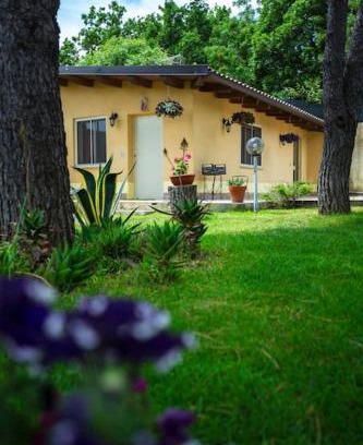 Mascalucia House | Pet-Friendly Haven: The Cottage with 9.2/10 Guest Ratings