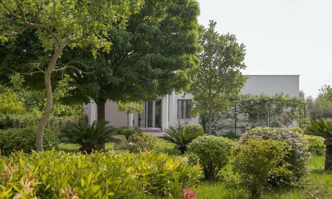 Ortelle House | Enjoy Nature at The Cricket and the Cicada Apartment