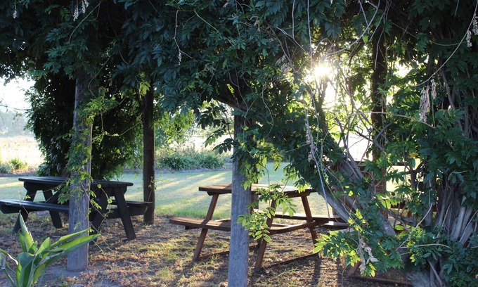 Central Mudgee Hotel | Relax at Cudgegong Valley Motel in Beautiful Mudgee