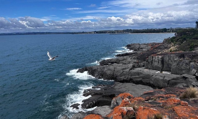 Devonport Cabin | Family-Friendly Stay at The Dannebrog Lodge Room 1