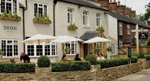 Tatton Park Hotel | Pet-Friendly Retreat at The Dog in Over Peover: 9.1/10
