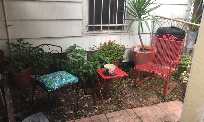 Garden Oaks Apartment | Discover The Don Quixote Tiny House: Pet-Friendly Retreat