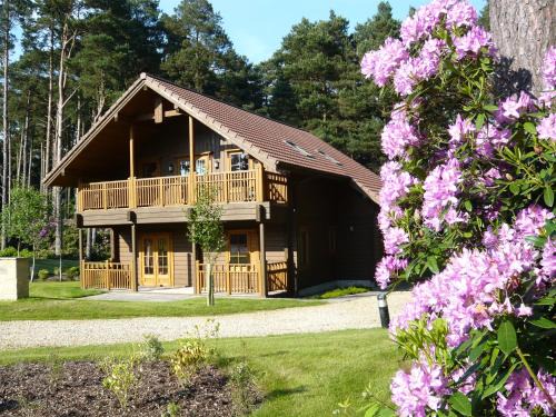 Wareham Ski Chalet | Discover The Dorset Resort: Family-Friendly & Accessible Retreat