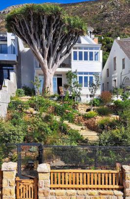 Kalk Bay House | Delightful Stay at The Dragon Tree Guesthouse with Kitchen