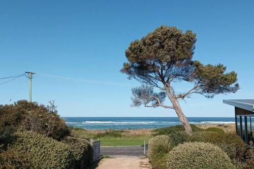 Scamander Apartment | Beachside Retreat: The Dunes King Studio near Scamander