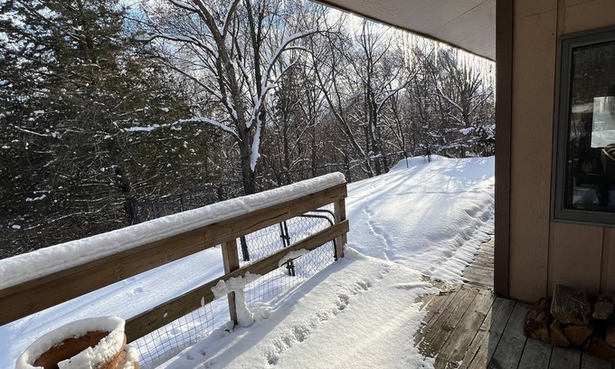Eau Claire House | Experience The Eagle's Nest: Pet-Friendly Cabin with Spa