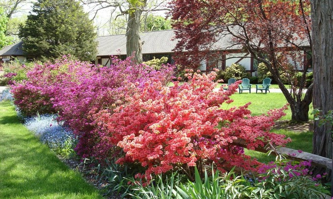 East Sandwich Hotel | Relax at The Earl of Sandwich Motel with Pool & Spa