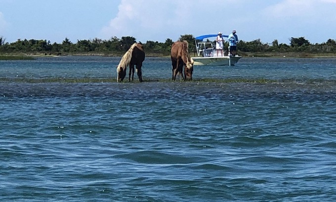 Harkers Island Apartment | Unforgettable Escape at The Easterd Retreat with Ocean Views