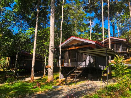 Platanillo Apartment | Discover The Elements Costa Rica Nature Lodges Retreat