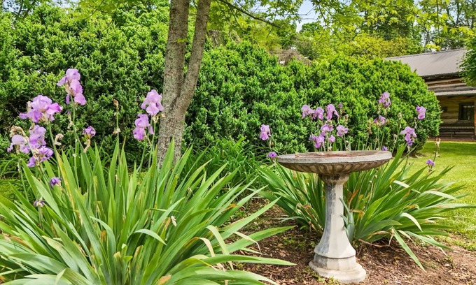 Emory Bed & Breakfast | Unforgettable Stays at The Emory House with Breakfast & Kitchen