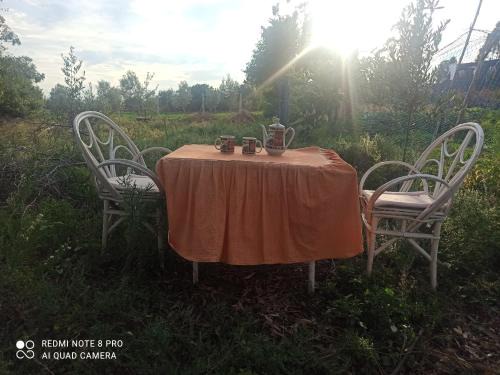 Jbel Lahbib House | Discover Ibrahim's Palace: Pet-Friendly Retreat with Breakfast