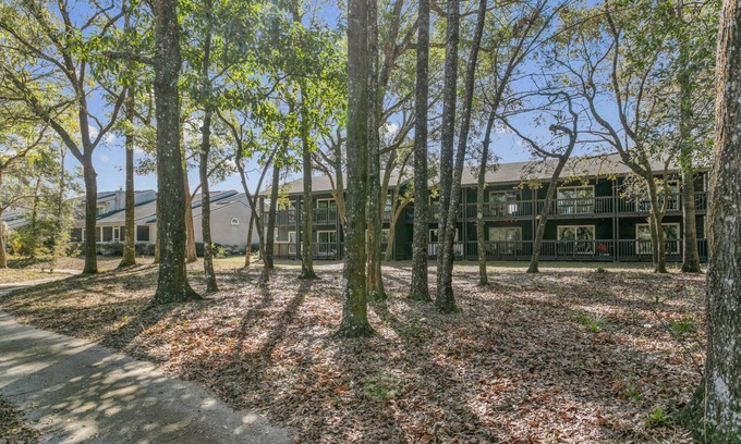 Middleburg Apartment | Pet-Friendly King Studio at The Escape with Kitchen & Porch
