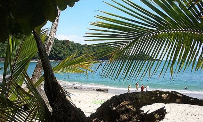 Manuel Antonio Resort | Relax at The Falls Resort in Manuel Antonio with Ocean Views