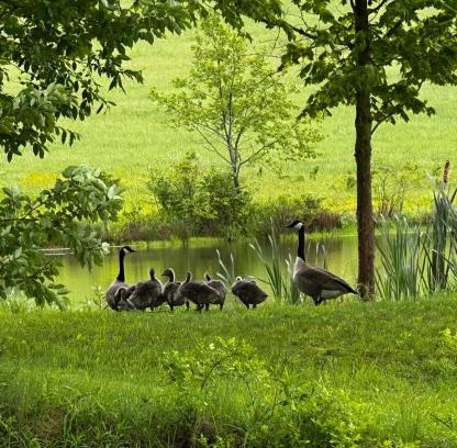 Morton House | The Farmhouse at Deer Run