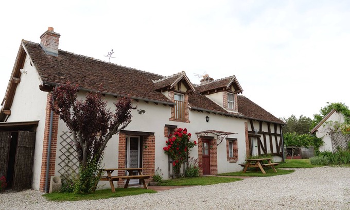 Lassay-sur-Croisne House | Discover the Ferns of Nigaudière: 9/10 Rated Retreat