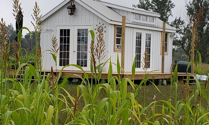 Hastings Cottage | Gaze at Stars from The Firefly Stargazer Garden Studio