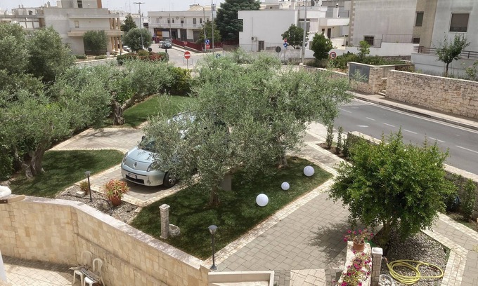 Alberobello House | The five olive trees