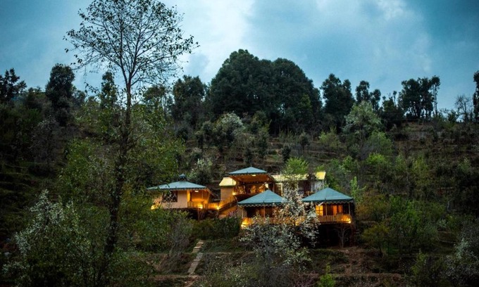 Kaul Other | Discover The Foliage: Pet-Friendly Retreat with Breakfast