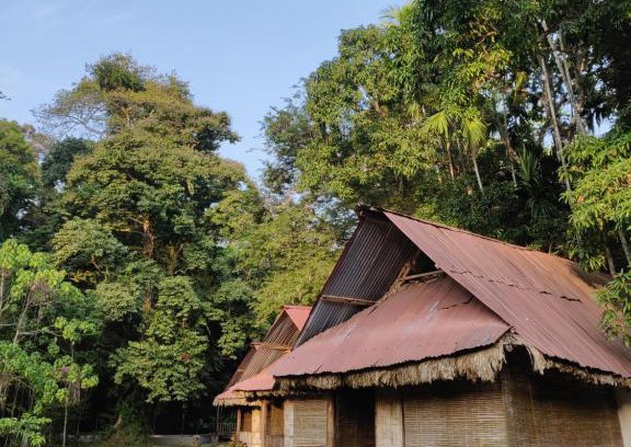 Havelock Island Cabin | Discover The Forest Elephant: Family-Friendly Retreat