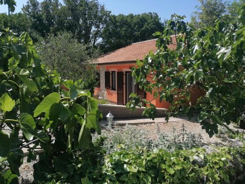 Kras House | Experience The Forest House Krk: Oceanfront & Pet Friendly
