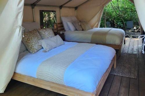 Tsawwassen Other | Family-Friendly Stays at The Fox Den – Pet Welcoming Retreat