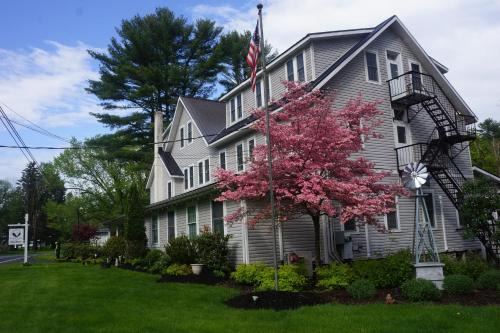 Canadensis Hotel | Discover The Frogtown Inn: Top-Rated Pet-Friendly Escape