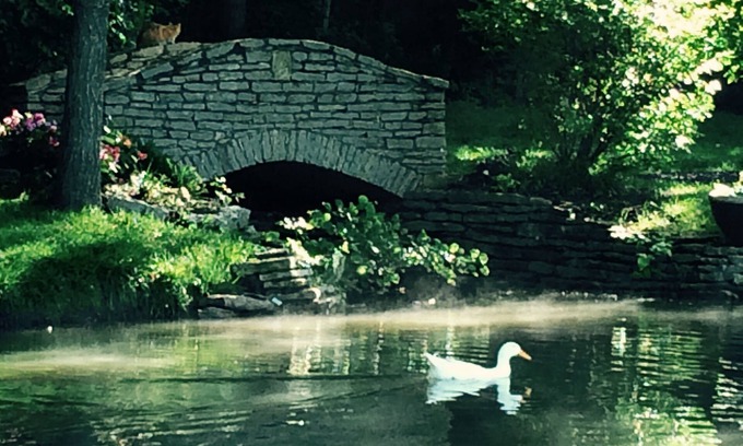 Bucyrus House | Discover The Garden Carriage House: Pet-Friendly Retreat