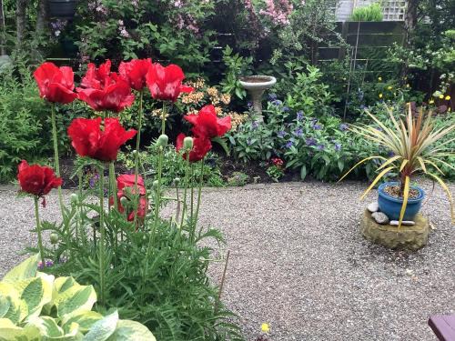 Crieff Apartment | Eco-Friendly Getaway at The Garden Flat with Hot Tub