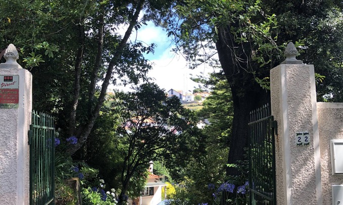 Camacha House | Discover The Garden of Paradise: Ocean View & Spa Retreat