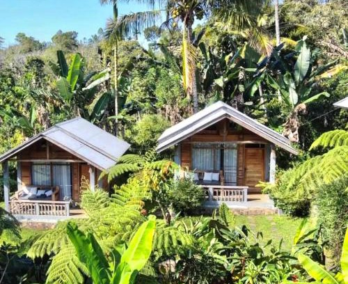 Moni House | Exceptional Geckos Homestay: Pet & Child Friendly Retreat