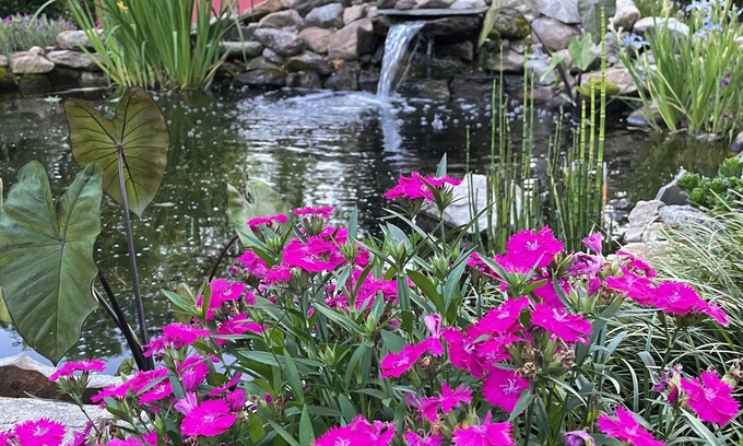 Maxeys Bed & Breakfast | Unforgettable Stay at The Gillen House B&B: Spa & Breakfast