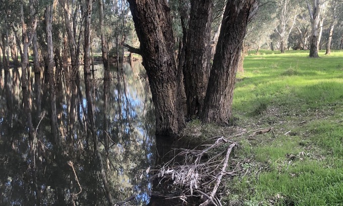 East Wangaratta House | Exceptional Family Retreat at The Glenn on Ovens River