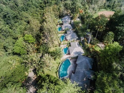 Melayang Villa | Escape to The Grand Bakas Jungle Retreat Villa with Pool