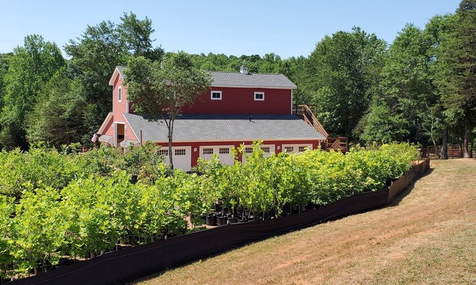 Taylors House | Guest Rated 10/10: The Hayloft - Chic Barn Loft Escape