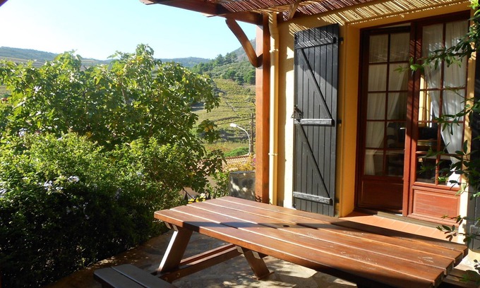 Port-Vendres Apartment | Discover The Heart of the Vines: Pool & Ocean Views