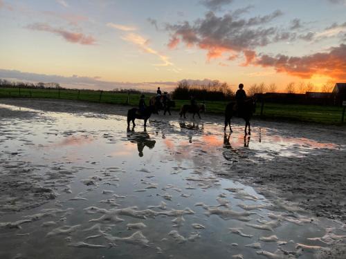 Garnwerd Bed & Breakfast | Family-Friendly Stay at The Horse Farm Retreat