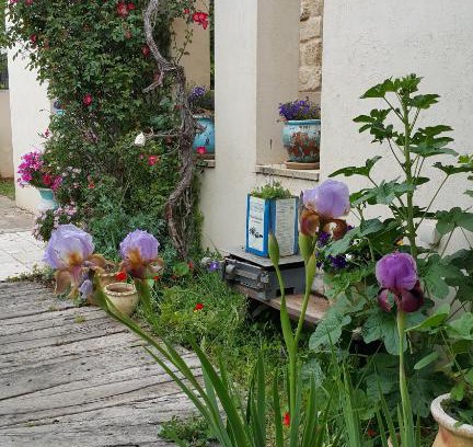 Netaim Hotel | Discover Taly & Erez: Guest Rated 9.2 for Your Stay
