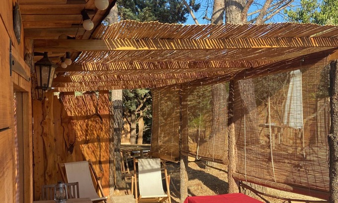 Apt Cabin | Discover Family-Friendly Comfort at The Hut of Happiness