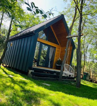 Vadosfa House | The Hut of Peace