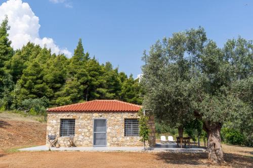 Sithonia House | Serene Secluded Retreat with Oceanfront Views & Pet-Friendly