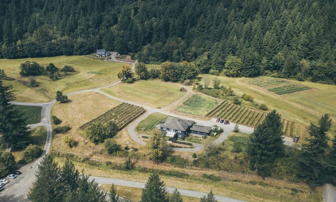 Yacolt House | Ocean View Retreat: The Inn at Pomeroy Cellars