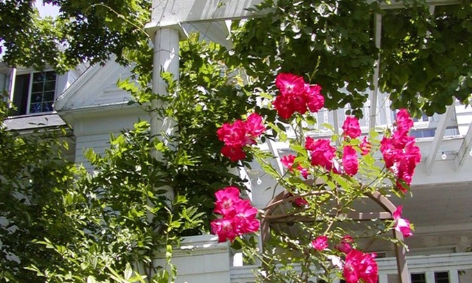 Sudbury House | Relax at The Inn on the Horse Farm: Family-Friendly Retreat