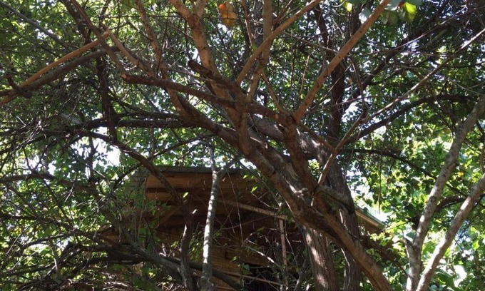 Dambulla Cabin | Affordable Family Retreat at The Inn On The Tree Sigiriya