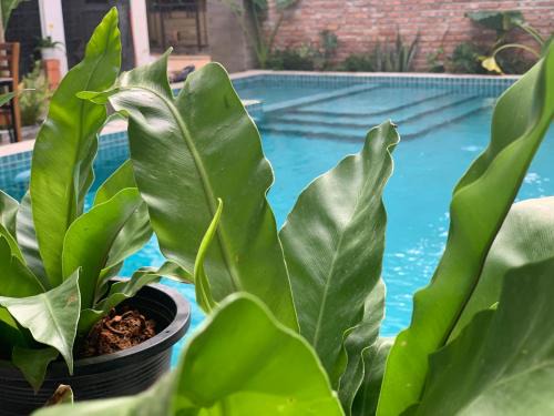Kampot Hotel | Discover The J Break Boutique: 4-Star Stay with Pool Access