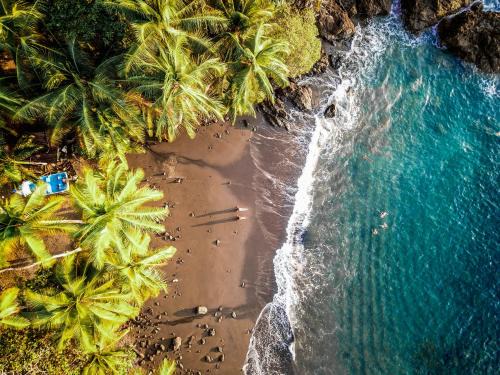 Palma Hotel | Experience The Jaguars Jungle Rainforest Lodge with Dining Included