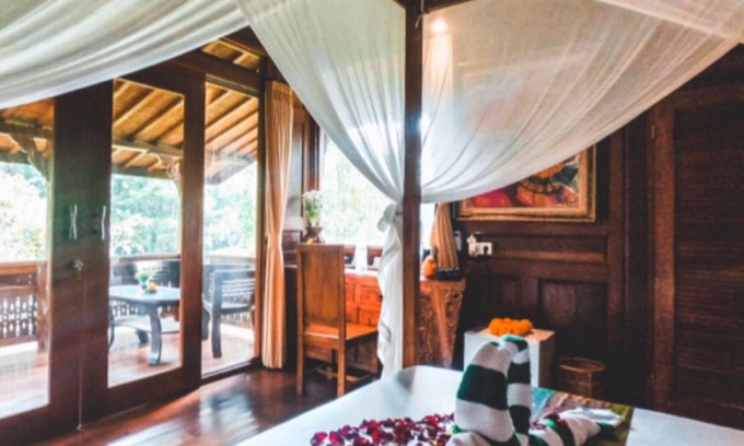 Penestanan Villa | Experience The Jungle Villa Ubud Bali: Guest Rated 9.8